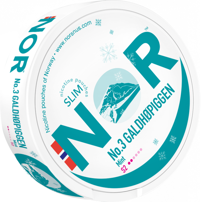 NOR GALDHOPPIGEN (Kopie)