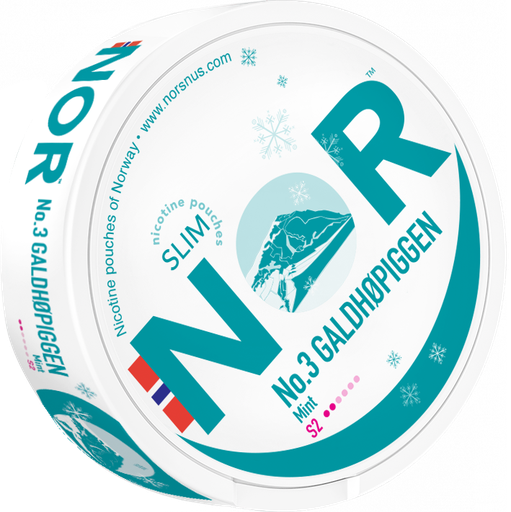 [G-10003] NOR GALDHOPPIGEN (Kopie)